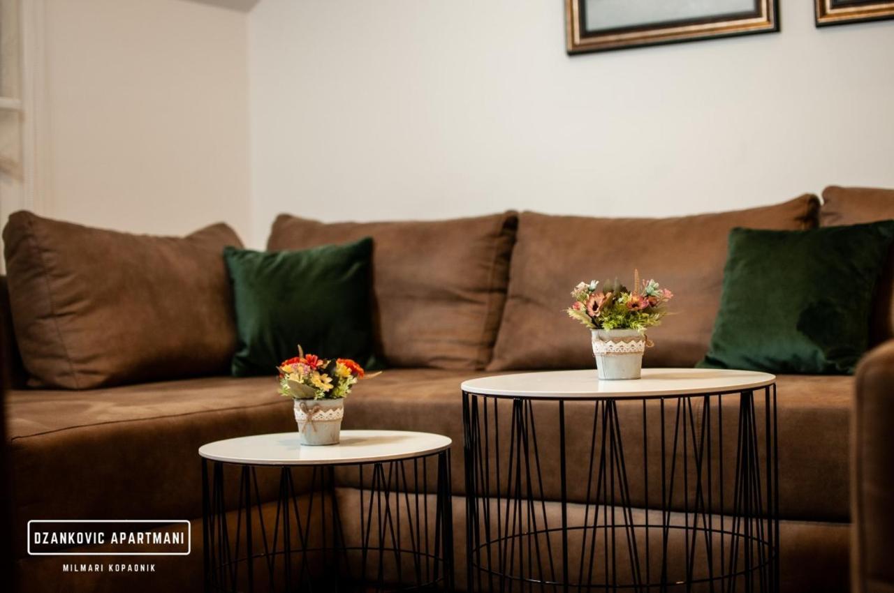 Apartment Dzankovic