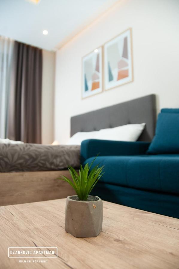 Apartment Dzankovic *