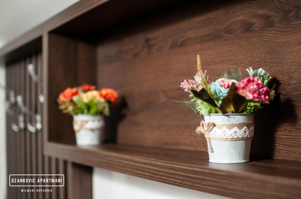 Apartment Dzankovic *
