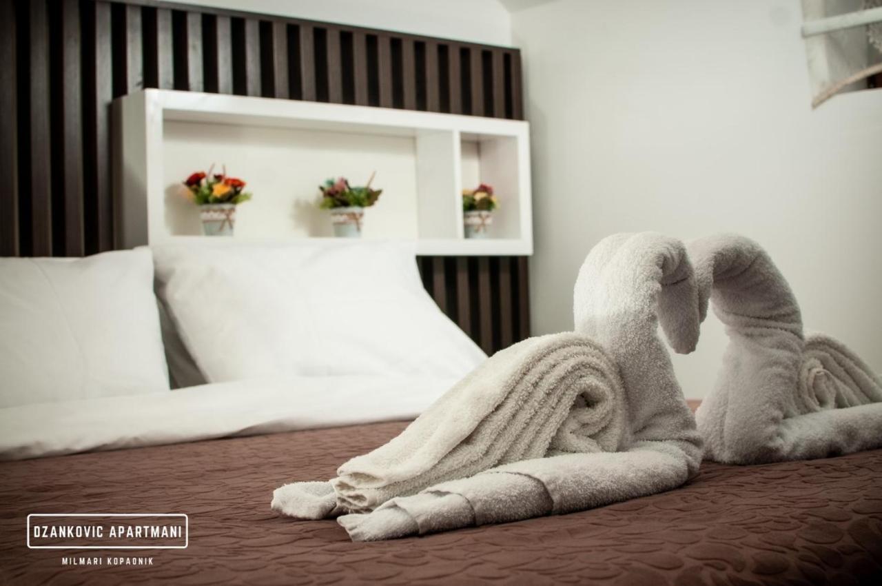 Apartment Dzankovic *